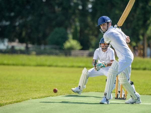 Cricket Pitch